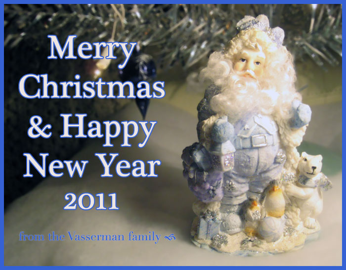 Merry Christmas & Happy New Year 2011 from the Vasserman family